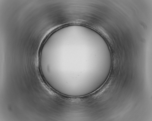 X0000112900940200909111522