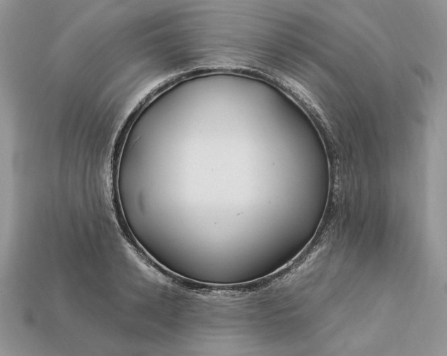 X0000112900942200909111522
