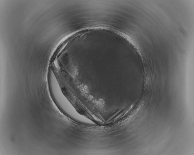 X0000112900943200909111522