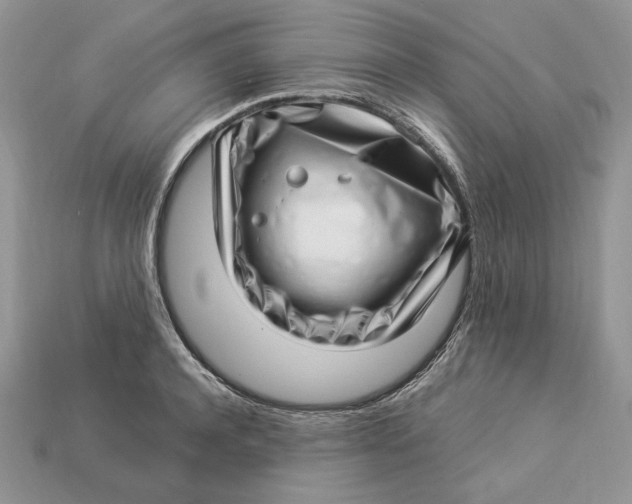 X0000112900944200909111522