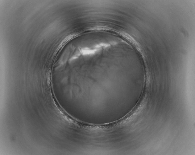 X0000112900945200909111522