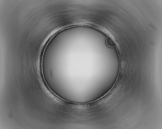 X0000112900947200909111522