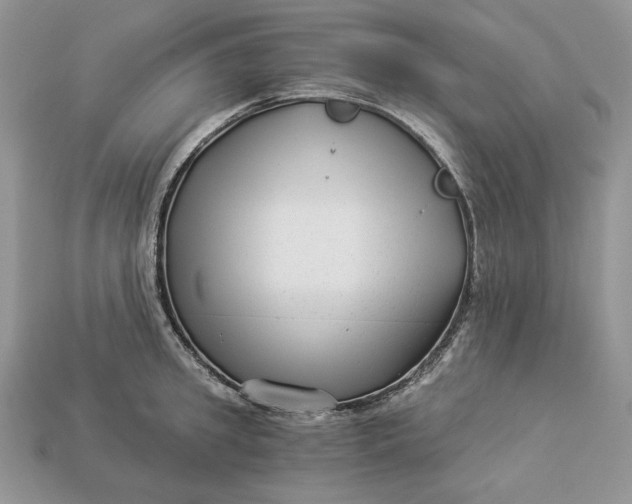 X0000112900949200909111522