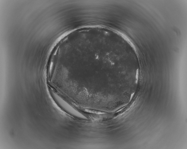 X0000112900951200909111522