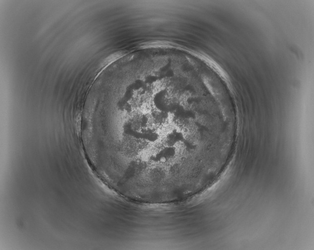 X0000112900953200909111522