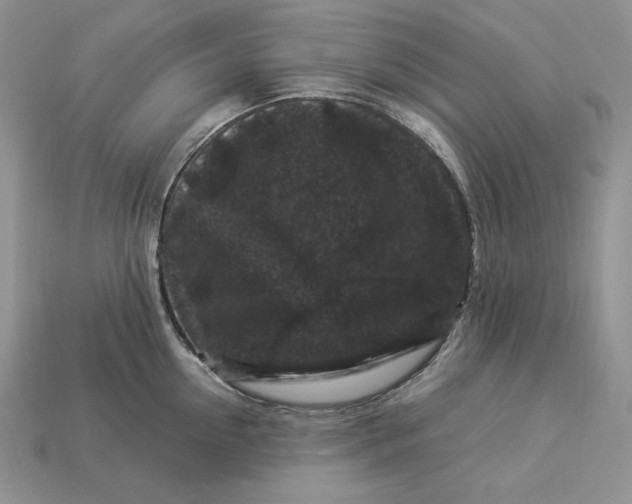 X0000112900954200909111522
