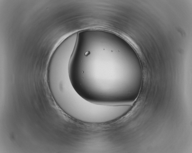 X0000112900956200909111522