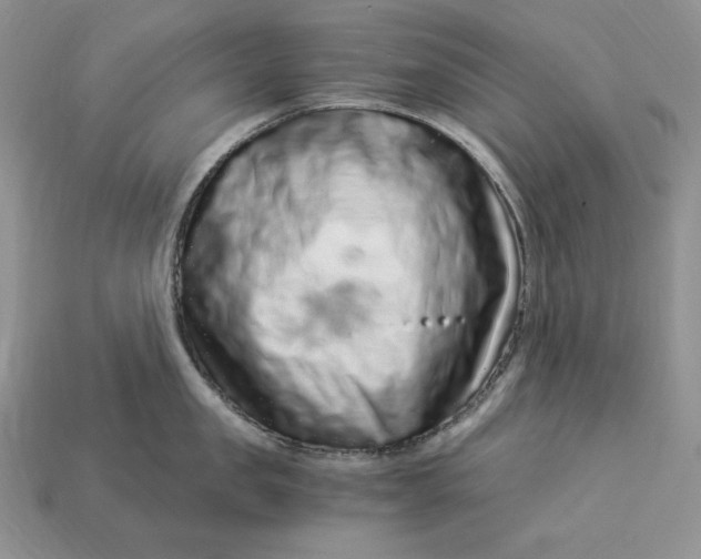 X0000112900957200909111522