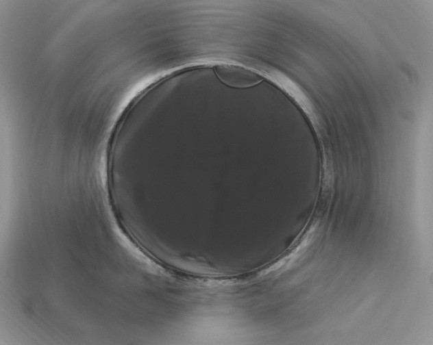 X0000112900958200909111522