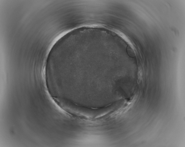 X0000112900959200909111522