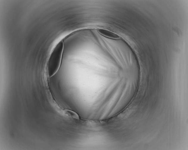 X0000112900960200909111522