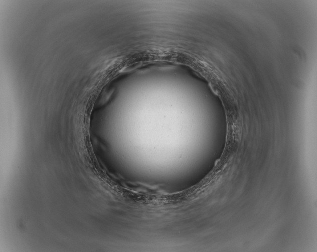 X0000112900961200909111521