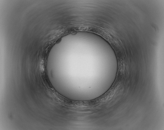 X0000112900962200909111521