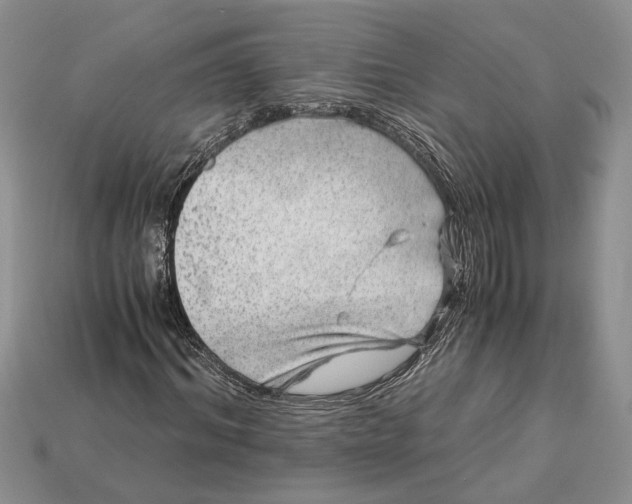 X0000112900964200909111521