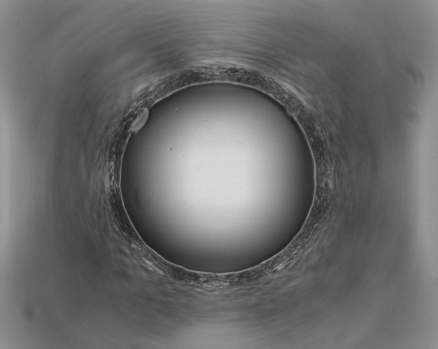X0000112900965200909111521
