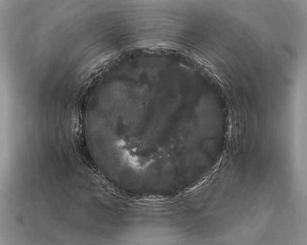 X0000112900966200909111521