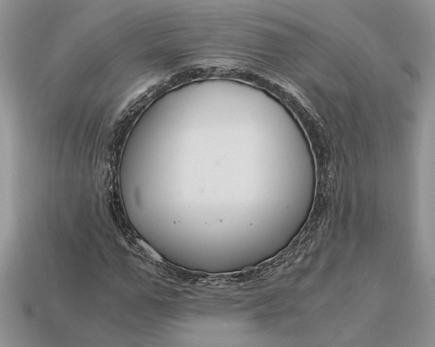X0000112900967200909111521