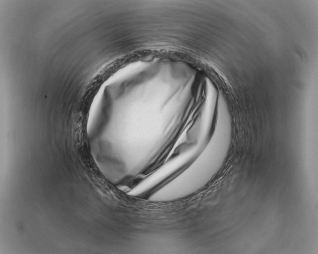 X0000112900968200909111521