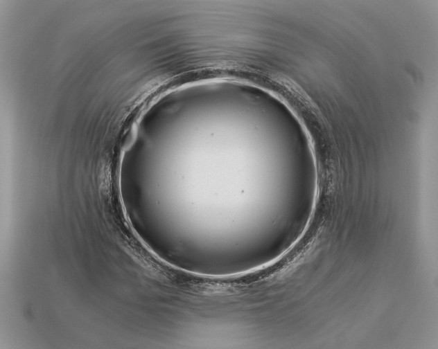 X0000112900969200909111521