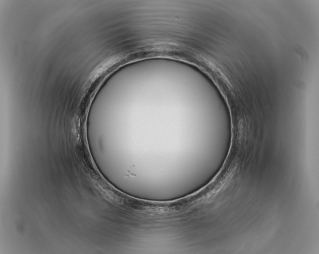 X0000112900970200909111521