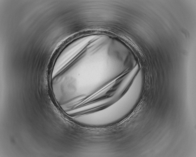X0000112900972200909111521