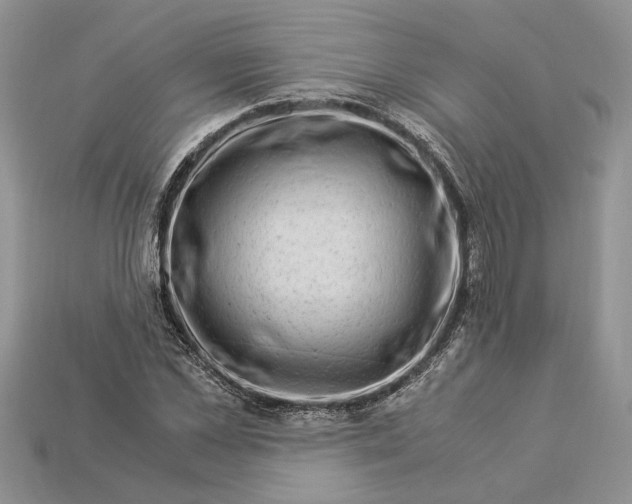 X0000112900973200909111521