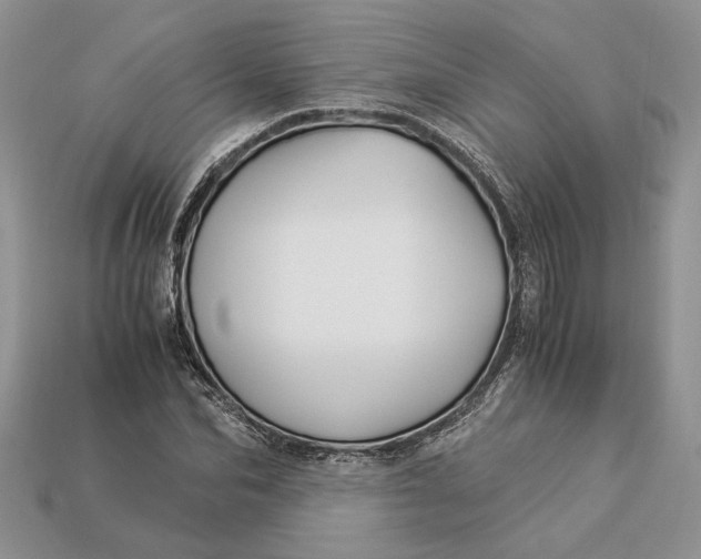 X0000112900974200909111521