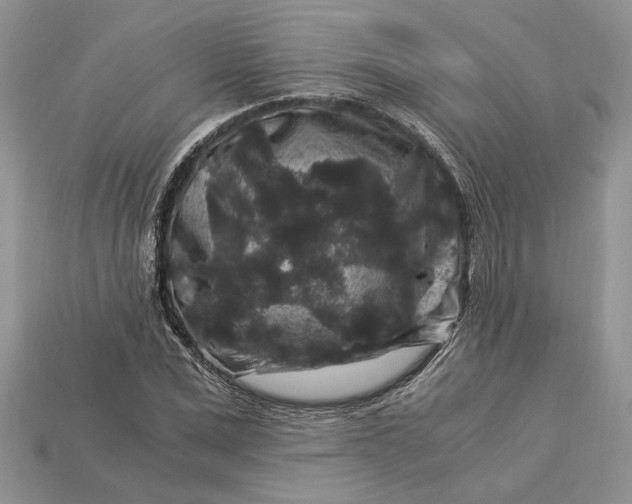 X0000112900975200909111521