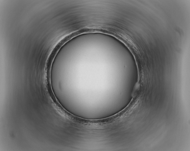 X0000112900976200909111521