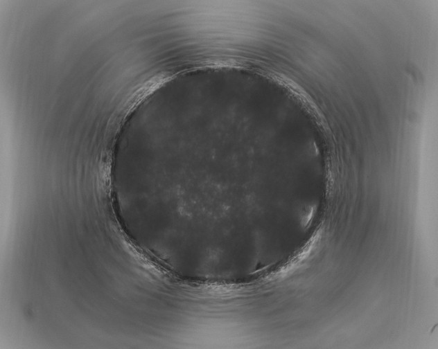 X0000112900977200909111521