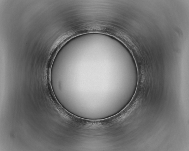 X0000112900978200909111521