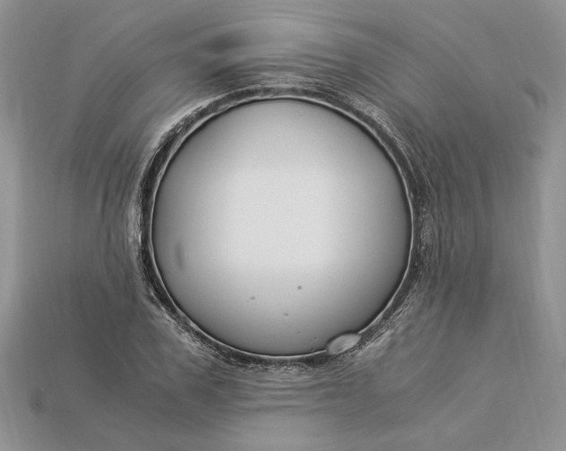 X0000112900979200909111521