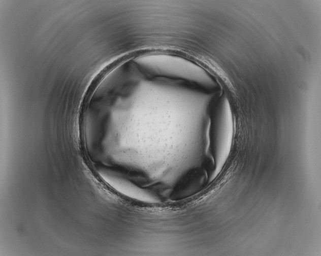 X0000112900980200909111521