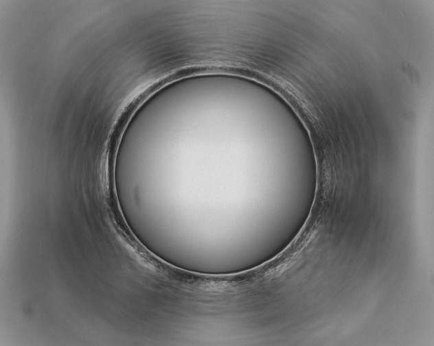 X0000112900982200909111521