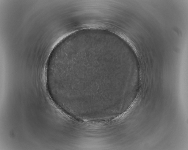 X0000112900983200909111521