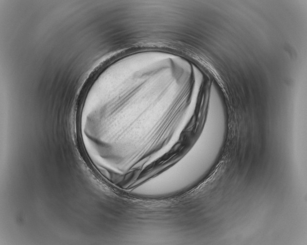 X0000112900984200909111521