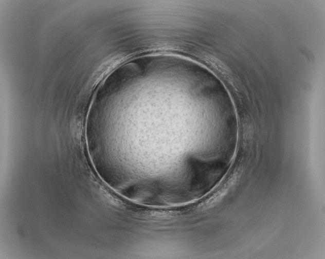 X0000112900985200909111521