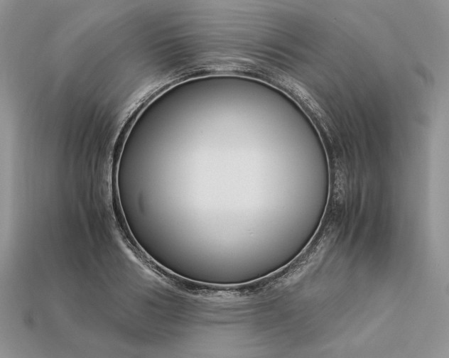X0000112900986200909111521