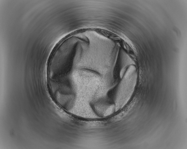 X0000112900988200909111521
