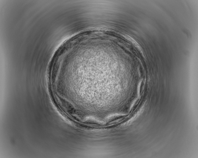X0000112900989200909111521