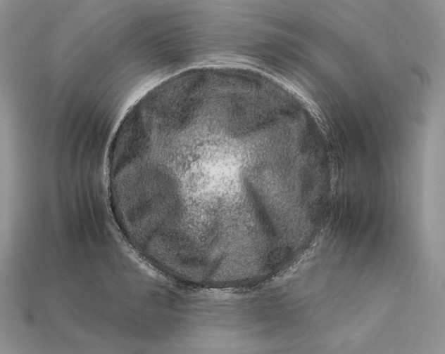 X0000112900990200909111521
