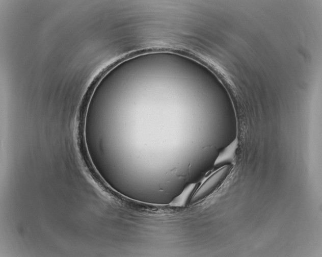X0000112900991200909111521