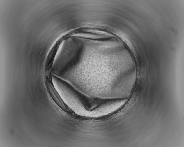 X0000112900992200909111521