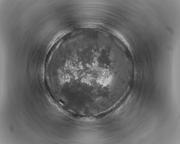 X0000112900994200909111521