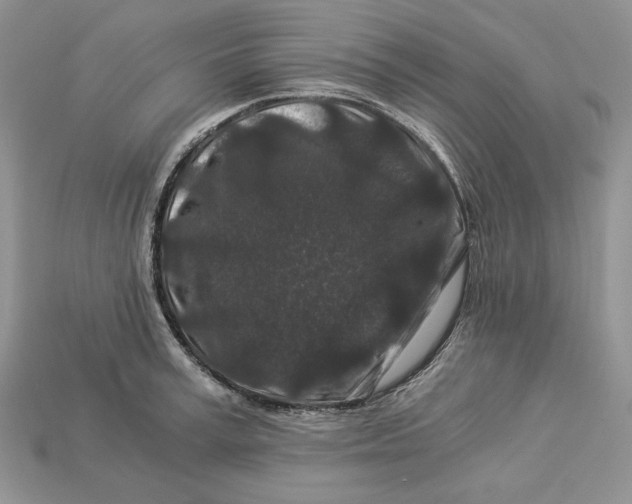 X0000112900995200909111521