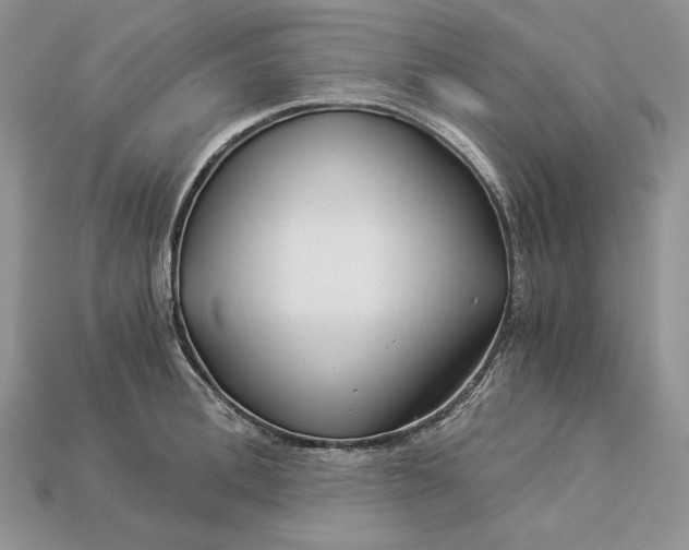 X0000112900996200909111521