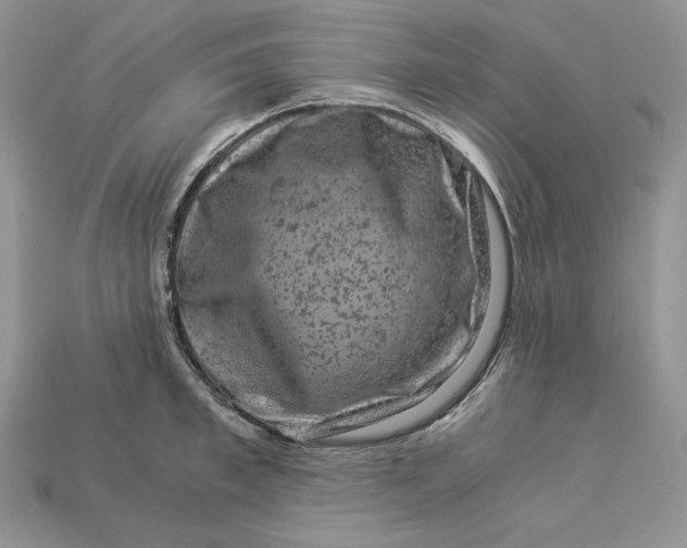 X0000112900997200909111521