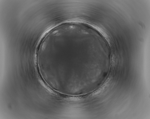 X0000112900998200909111521