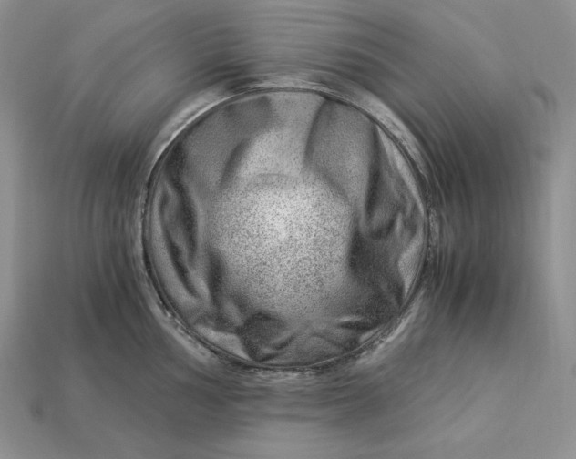 X0000112901002200909111521