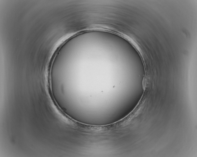 X0000112901003200909111521